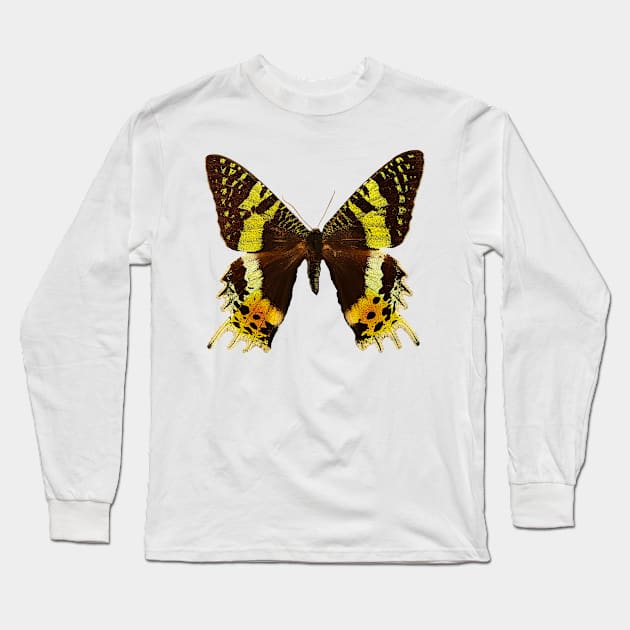 Beautiful Madagascan sunset moth Long Sleeve T-Shirt by Blue Butterfly Designs 